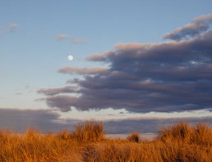 Holistische Gesundheitberatung in Neustrelitz - Mond am Strand